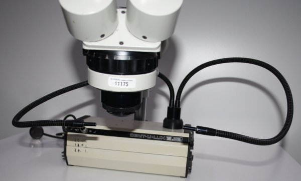 Preview: System Eickhorst StereoZoom Mikroskop incl. Kaltlichtquelle # 11175