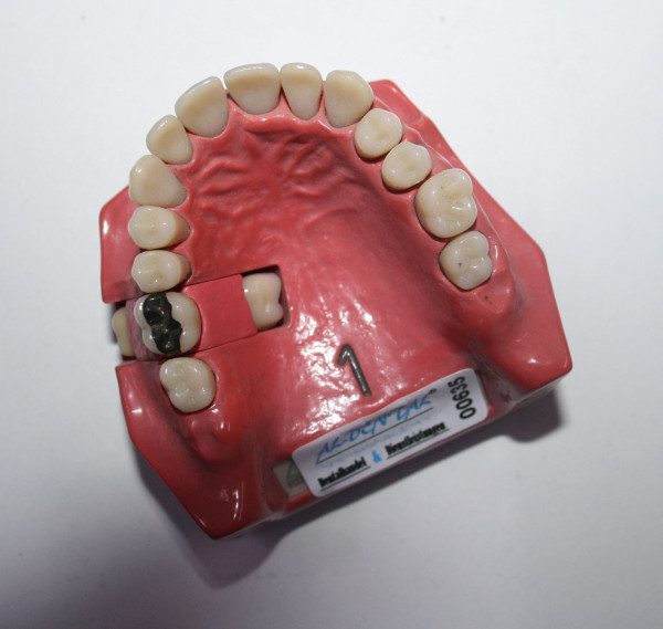 Preview: Go Dent Schaumodell Nr. 1  # 00635