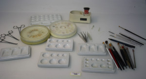 Preview: Diverses Keramik-Equipment # 7088