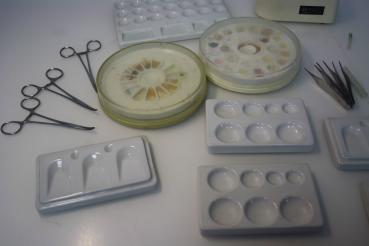 Preview: Diverses Keramik-Equipment # 7088