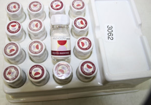 Elephant Antagon Dentalkeramik # 3062