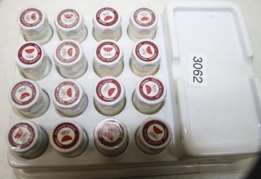 Preview: Elephant Antagon Dentalkeramik # 3062