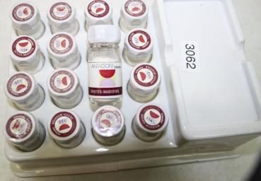 Elephant Antagon Dentalkeramik # 3062