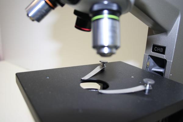 Mikroskop Olympus CH # 4646